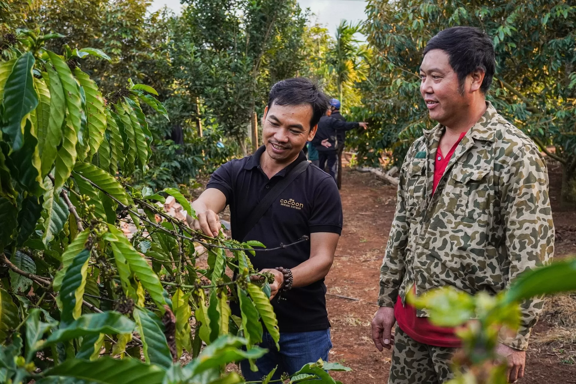 Cocoon hỗ trợ n&ocirc;ng d&acirc;n